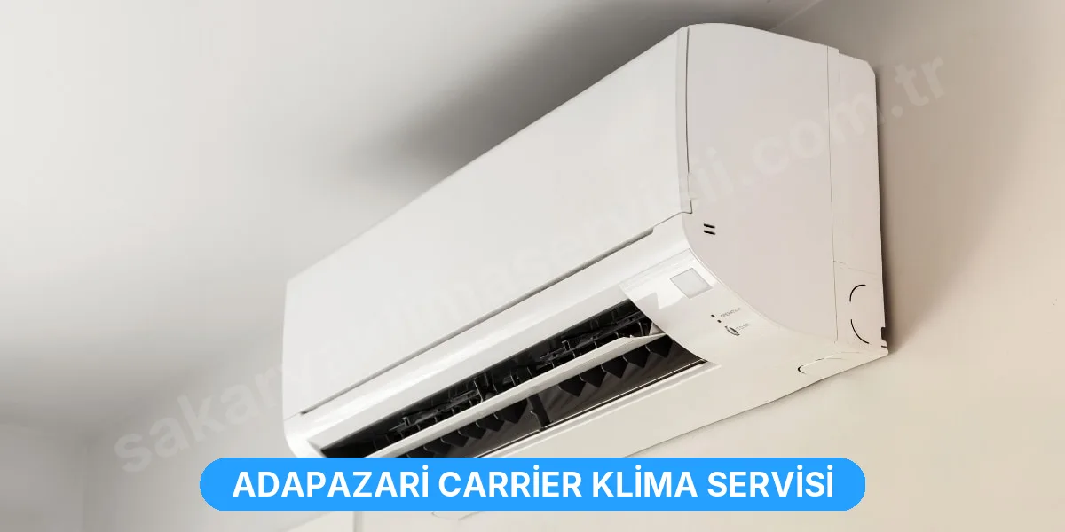 Adapazari Carrier Klima Servisi