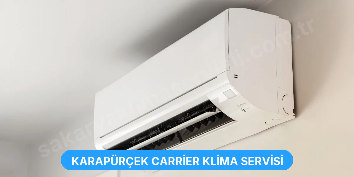 Karapürçek Carrier Klima Servisi