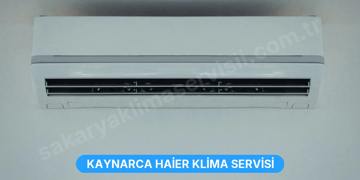 Kaynarca Haier Klima Servisi