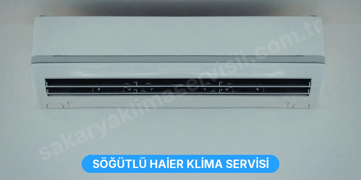 Söğütlü Haier Klima Servisi
