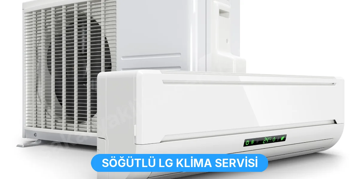 Söğütlü LG Klima Servisi