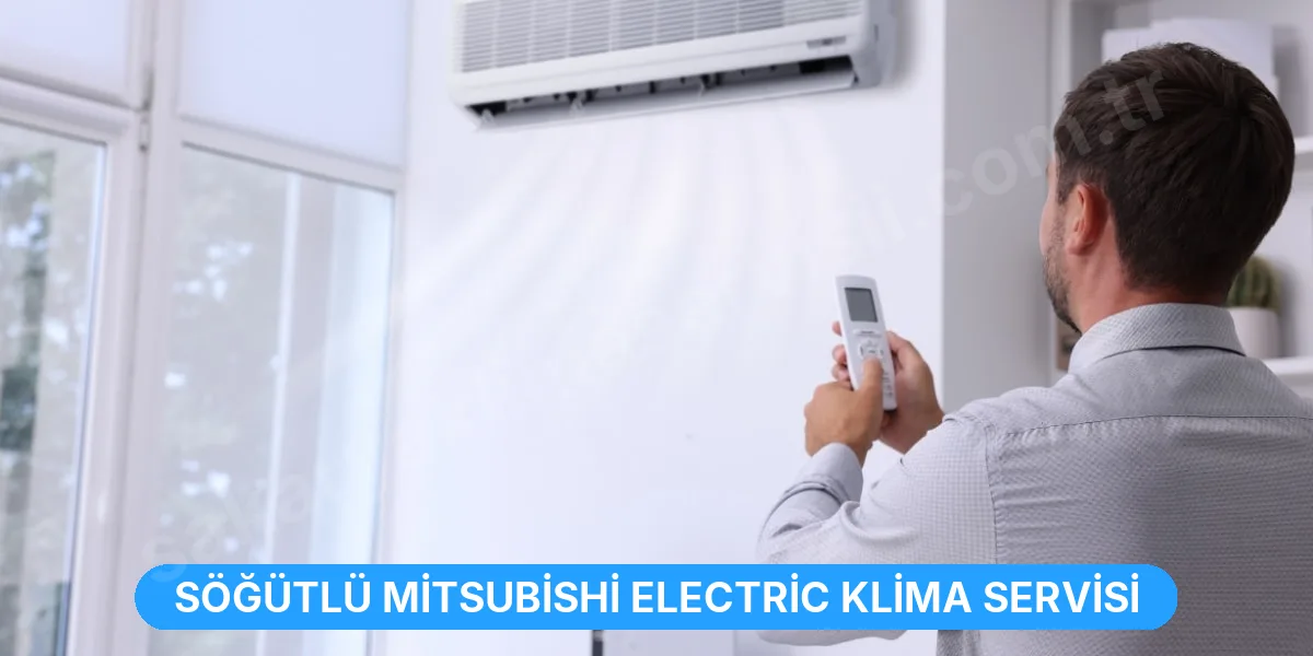 Söğütlü Mitsubishi Electric Klima Servisi