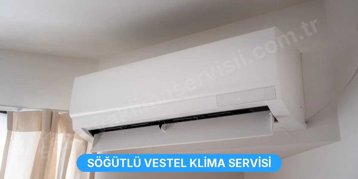 Söğütlü Vestel Klima Servisi